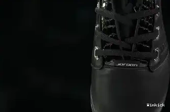 17 Jordan Air Black Chrome 303891-004 OG Low 0610